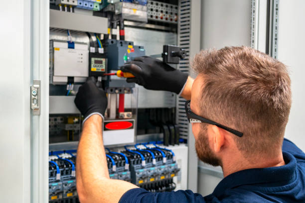 Best Ceiling Fan Installation Electrician  in Wallace, FL