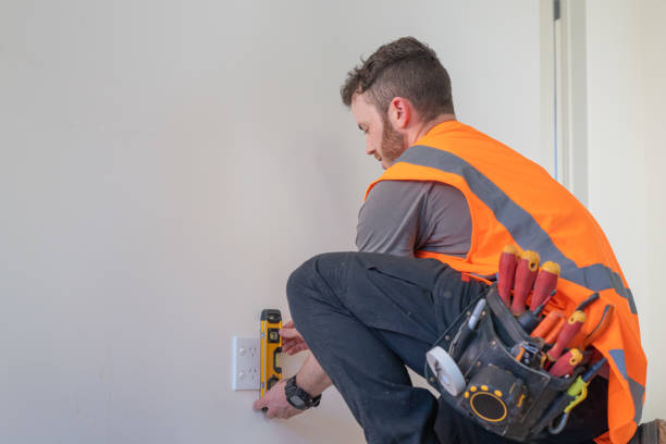 Best Generator Installation Services  in Wallace, FL
