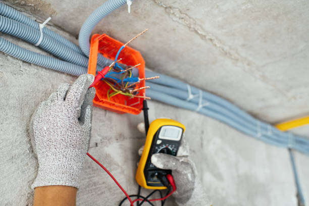 Best Home Electrical Repair  in Wallace, FL